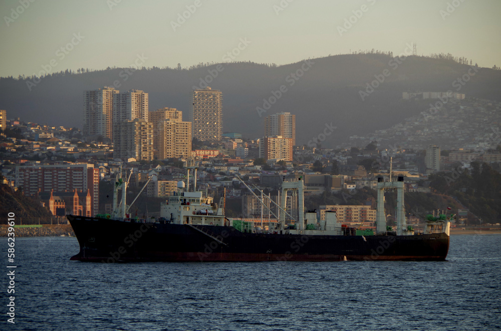 Large modern Passenger freighter pax cargo roro ro-ro ferry cruiseship cruise ship liner at sea