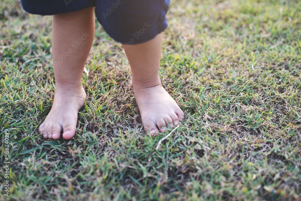 Closeup.child walking  barefoot  on green grass with the light of the sun