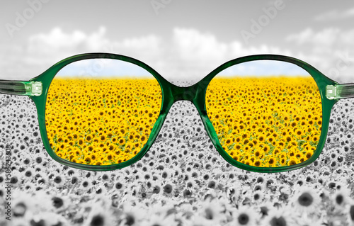 Grüne Lesebrille vor unscharfem Hintergrund