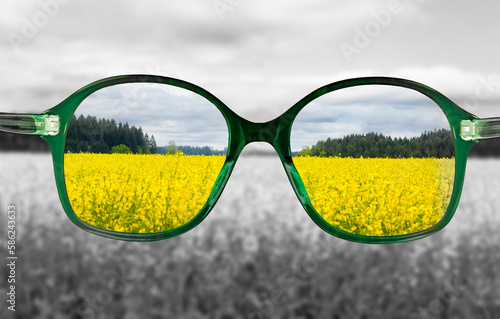 Grüne Lesebrille vor unscharfem Rapsfeld