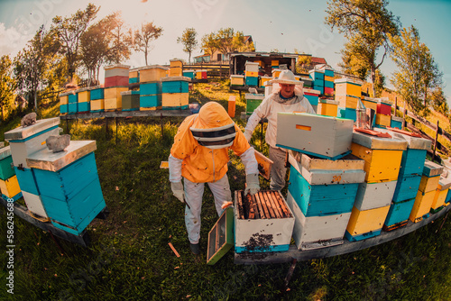 Beekeepers checking honey on the beehive frame in the field. Small business owners on apiary. Natural healthy food produceris working with bees and beehives on the apiary. © .shock
