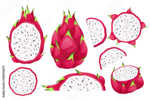 Dragon fruit set. Exotic tropical fruit pitahaya.Whole fruit, half pitahaya, slices.Exotic, tropical fruits.Vector illustration.