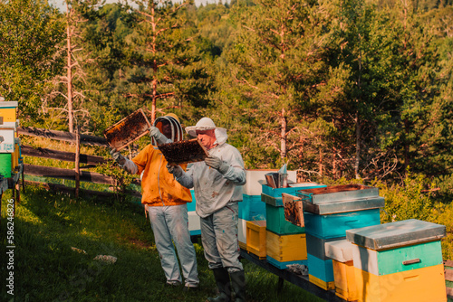 Beekeepers checking honey on the beehive frame in the field. Small business owners on apiary. Natural healthy food produceris working with bees and beehives on the apiary.