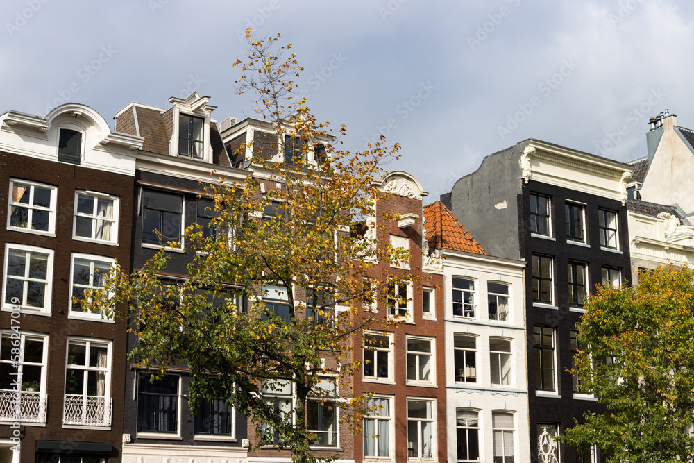 Row of Beautiful Old Buildings with Colorful Trees during Autumn in the Amsterdam Centrum District