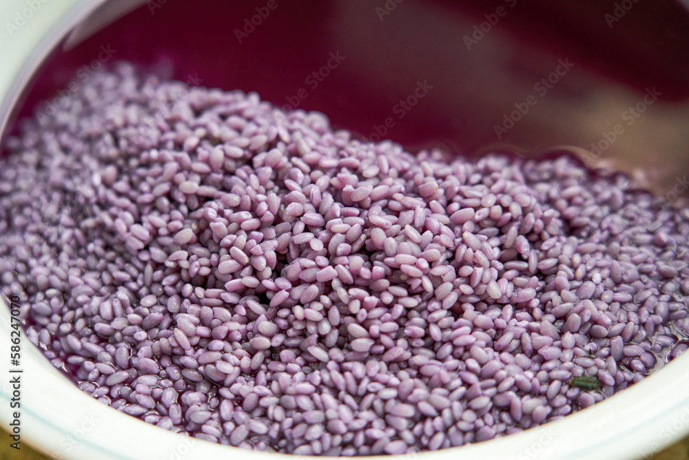 The process of making five-color glutinous rice, a traditional food for the Chinese Ching Ming Festival The process of making five-color glutinous rice, a traditional food for the Chinese Ching Ming Festival