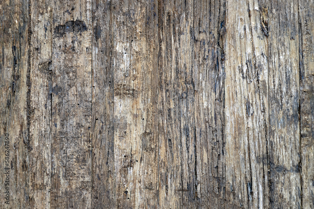 The surface of the old brown wooden wall. Pattern on the old bark wood texture use as natural background. Space for text, No focus, specifically.