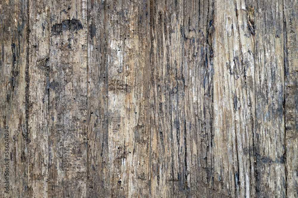 The surface of the old brown wooden wall. Pattern on the old bark wood texture use as natural background. Space for text, No focus, specifically. The surface of the old brown wooden wall. Pattern on the old bark wood texture use as natural background. Space for text, No focus, specifically.