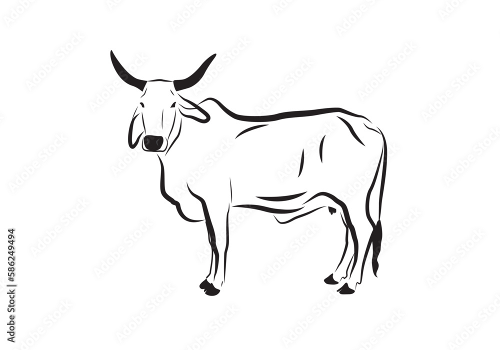 Cow vector isolated on white background. Farm Animal. Cattle, livestock icon.