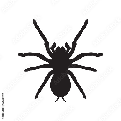 Spider silhouette vector isolated on white. Scary spider, poisonous insect. Arachnophobia.