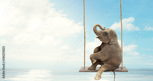 Canvas Print Elephant sitting on a swing above water