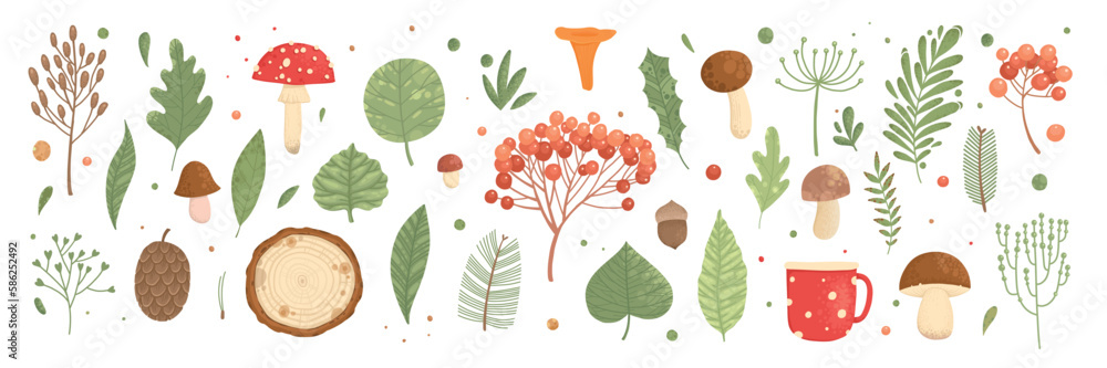 Fototapeta premium Collection of wild blooming meadow flowers isolated on white background and mushrooms. Bundle of wildflowers used in floristry. Set of decorative floral design elements. Flat colorful botanical vector