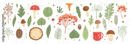 Collection of wild blooming meadow flowers isolated on white background and mushrooms. Bundle of wildflowers used in floristry. Set of decorative floral design elements. Flat colorful botanical vector