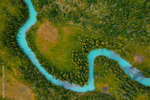 Принти на полотні Aerial view of blue river meander in green forest vegetation of delta