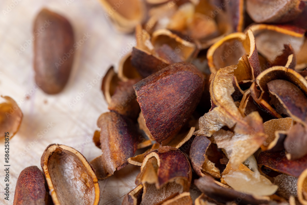 a bunch of pine nuts in the shell a bunch of pine nuts in the shell