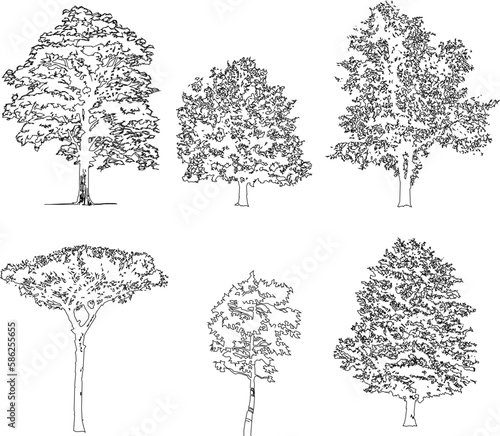 Big tree silhouette illustration vector sketch