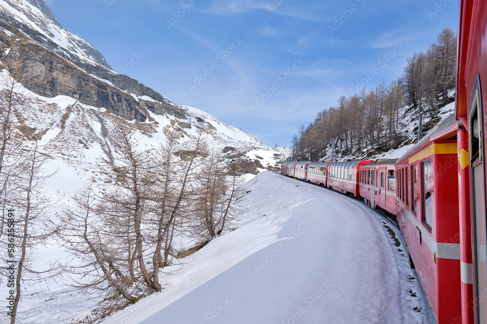 The famous Swiss mountain train of Bernina Express crossed italian and swiss Alps