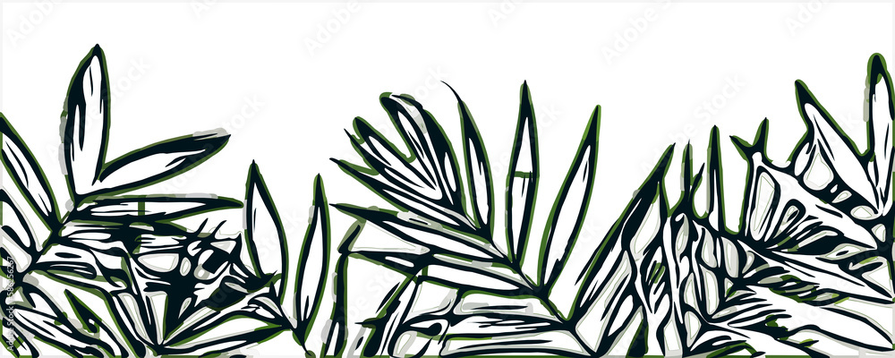 Naklejka premium Color sketch of bamboo leaves with transparent background