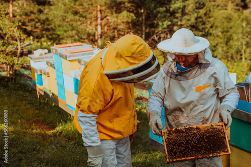 Beekeepers checking honey on the beehive frame in the field. Small business owners on apiary. Natural healthy food produceris working with bees and beehives on the apiary.