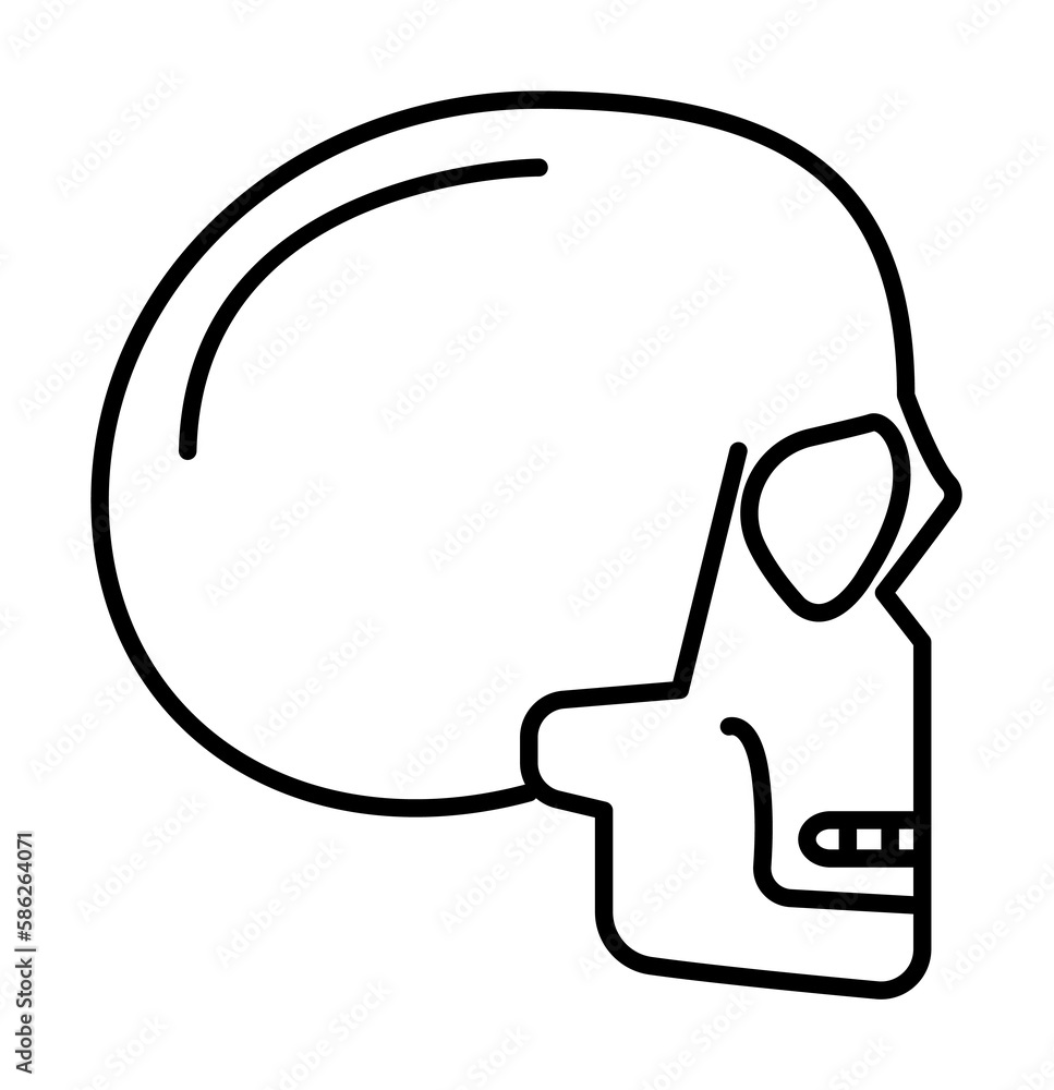 skull, head icon. Element of anti aging outline icon for mobile concept and web apps. Thin line skull, head icon can be used for web and mobile skull, head icon. Element of anti aging outline icon for mobile concept and web apps. Thin line skull, head icon can be used for web and mobile