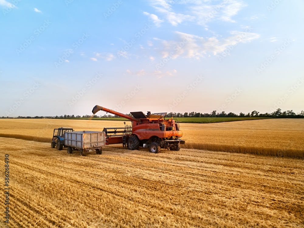 Obraz premium Aerial of overloading grain from combine harvester to grain box trailer in field on tractor. Harvester unloder pouring harvested wheat into a box body. Farmers at work. Agriculture, harvesting season.