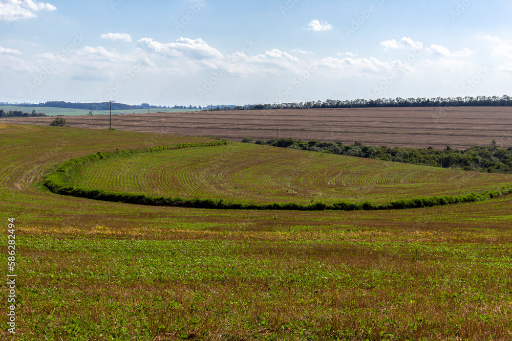 Agricultural fields cultivated on a farm in Brazil