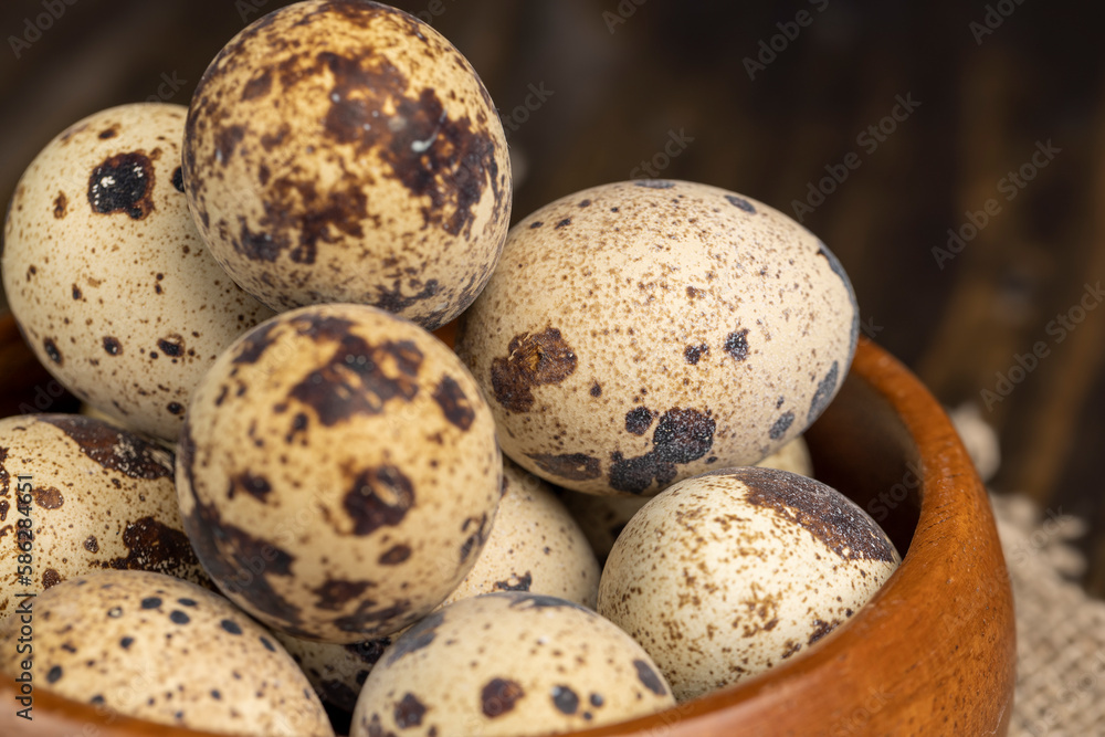 a large number of small spotted quail eggs on the table