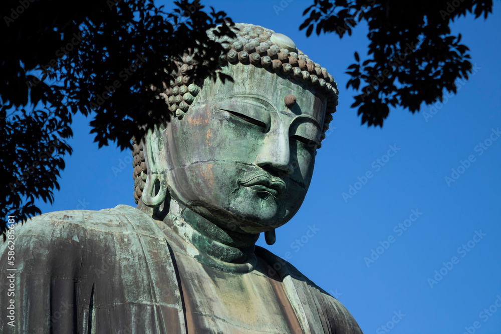 Great Buddha of Kotoku-in Temple in Kamakura Kanagawa Japan Great Buddha of Kotoku-in Temple in Kamakura Kanagawa Japan