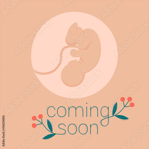 Coming Soon Childbirth Prenatal Period Small Child Embryo Obstetric Care