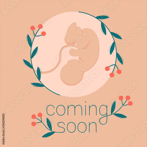Coming Soon Childbirth Prenatal Period Small Child Embryo Obstetric Care