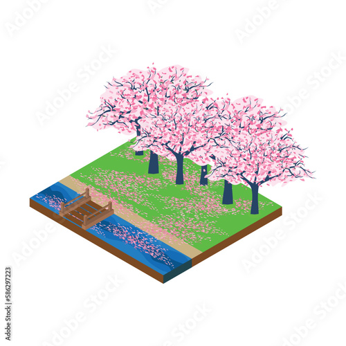 Isometric forest strewn with sakura petals. vector illustration isolated on white background. Japan. Isometric.