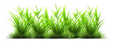 Green grass on a transparent background for decorating projects. generative AI