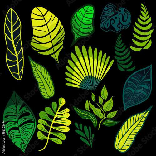 Set of tropical rainforest plants vector illustration 