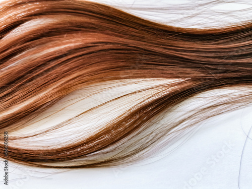 Wallpaper Mural strand of hair on a white background. Torontodigital.ca