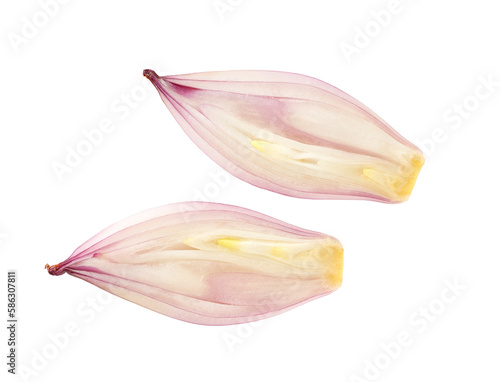 two halves of peeled shallots isolated on white background, top view.