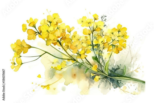 Fototapeta Naklejka Na Ścianę i Meble -  Rape blossoms painted by watercolor, Generative AI