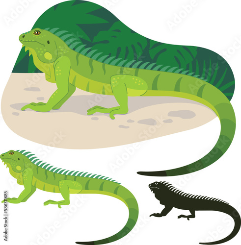 Vector illustration of a tropical iguana lizard on a background of tropical leaves and an isolated silhouette on a white background