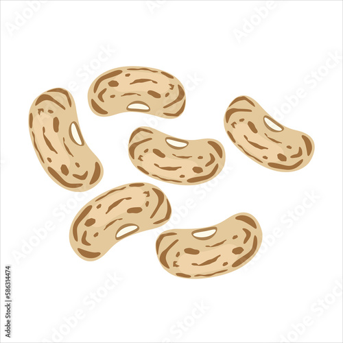 Мобильное усTepary bean also known Phaseolus acutifolius species of plant. Vector illustration isolated on white background. For template label, packing, web, menu, logo, textile, iconтройство