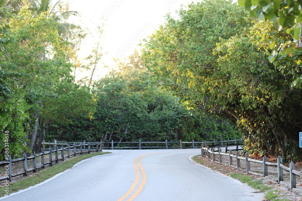 road in the park