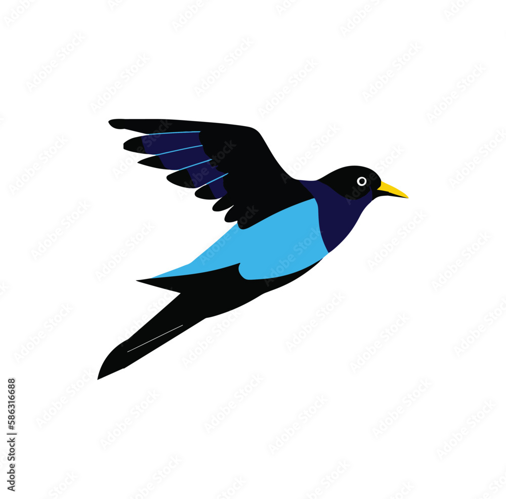 A flying bird vector art work. A flying bird vector art work.