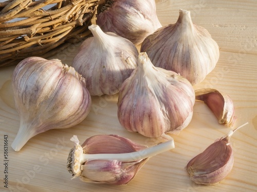 Bulbs and cloves of garlic grown in organic gardening, on a wooden board