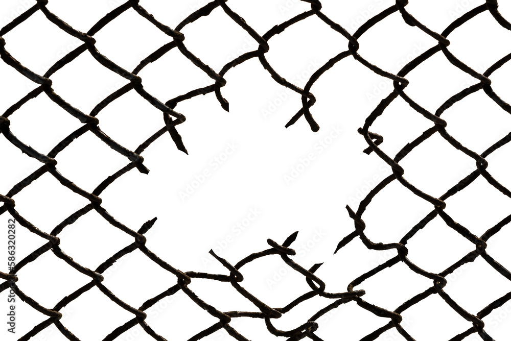 Fototapeta premium The texture of the metal mesh. Torn, destroyed, broken metal mesh on a white background