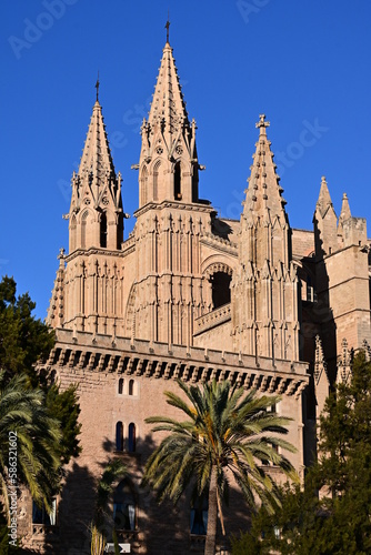 Cathedral of Palma de Mallorca  Roman Catholic Diocese  island Baleares  Spain  Historical building 