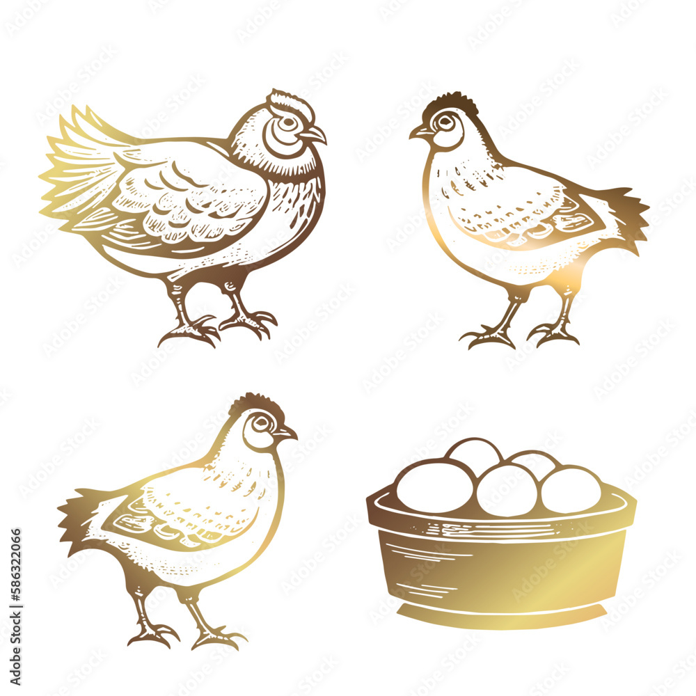 Chicken, bird s nest with eggs, basket of eggs. Chicken, poultry. Golden color. Hand drawn vector illustration in vintage style. Chicken, bird s nest with eggs, basket of eggs. Chicken, poultry. Golden color. Hand drawn vector illustration in vintage style.