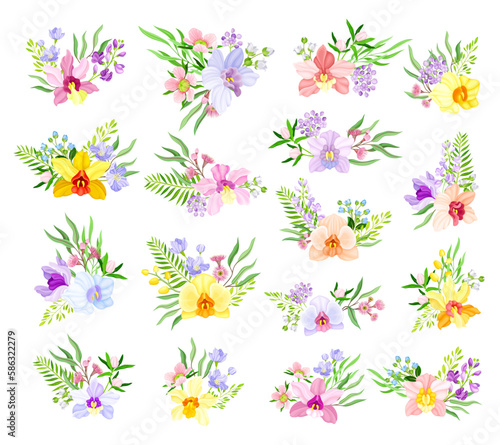 Fragrant Orchid Blooms with Labellum Arranged with Floral Branches Big Vector Set