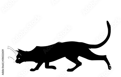 illustration of a cat