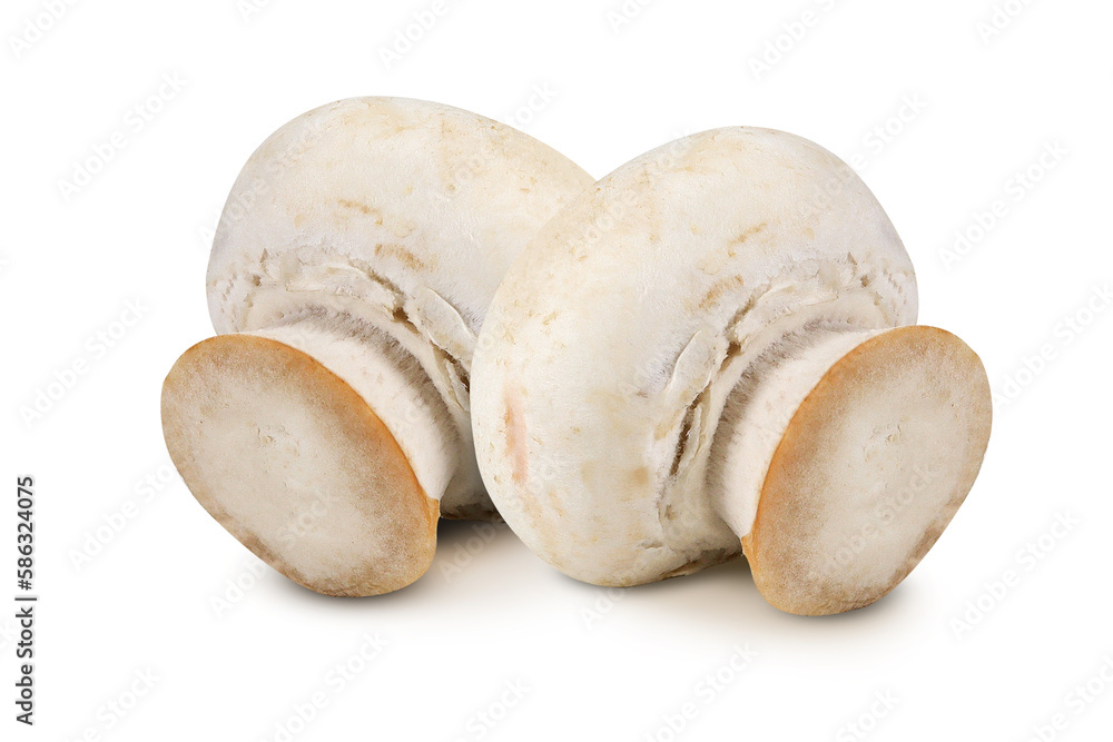 Champignons on an isolated white background Champignons on an isolated white background