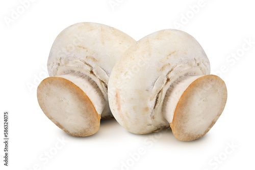 Champignons on an isolated white background