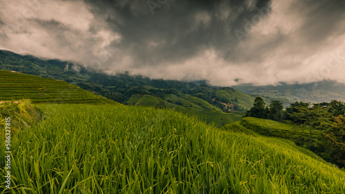 Landscape of terraced rice fields near Dazhai Village  Longji  China