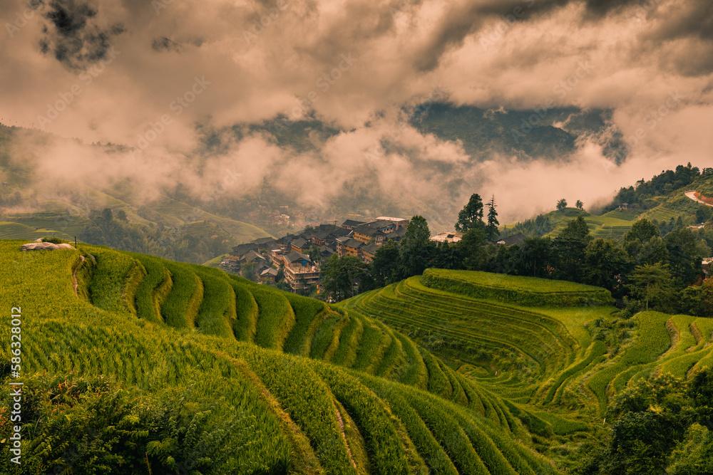 Landscape of terraced rice fields near Dazhai Village, Longji, China