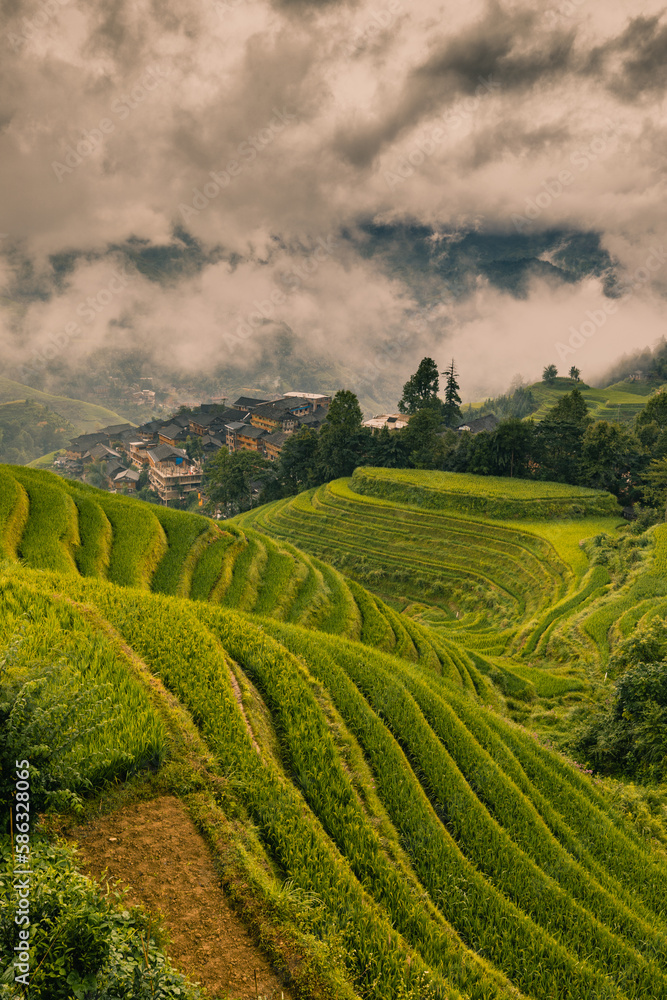 Landscape of terraced rice fields near Dazhai Village, Longji, China